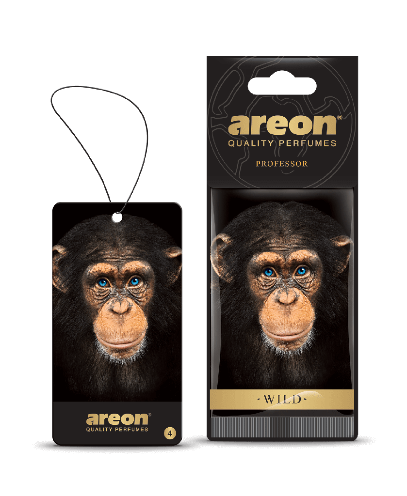 Areon Dry Wild Professor
