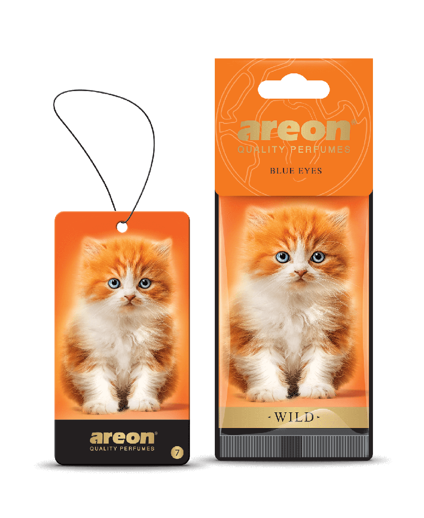 Areon Dry Wild Blue Eyes