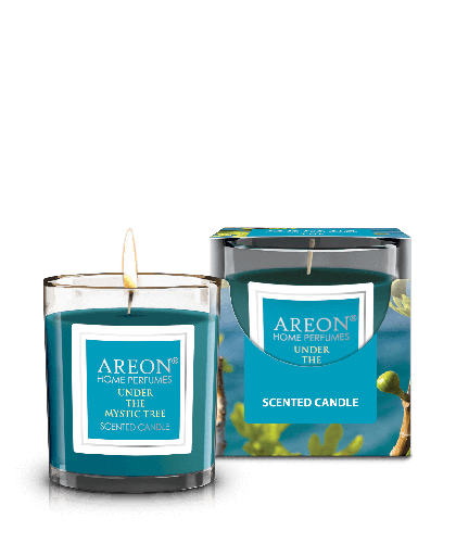 [CR06] Areon Home Scented Candle Under The Mystic Tree